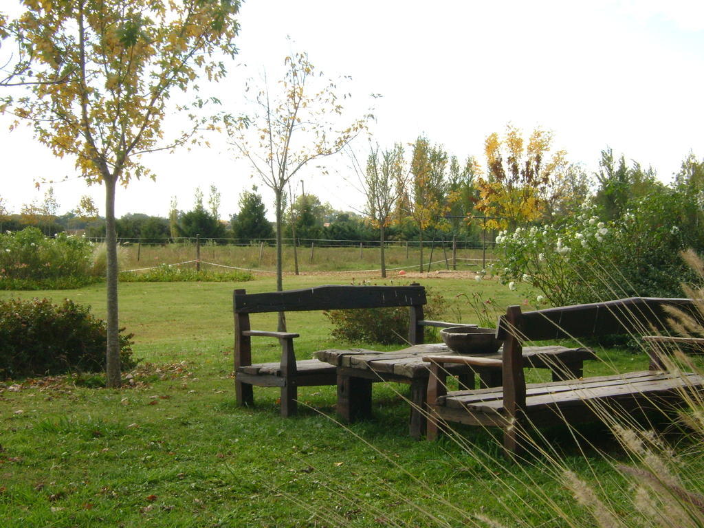 El Ranchito De Areco Villa San Antonio de Areco Ngoại thất bức ảnh