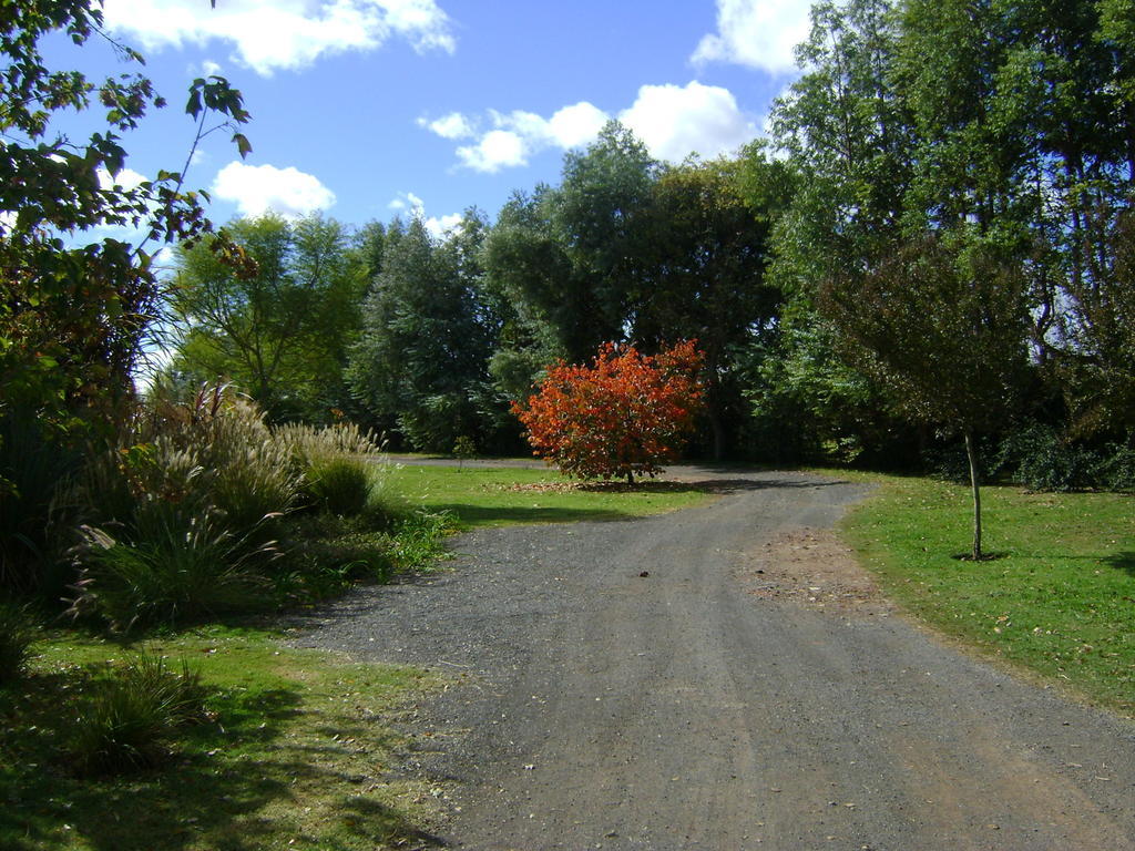 El Ranchito De Areco Villa San Antonio de Areco Ngoại thất bức ảnh