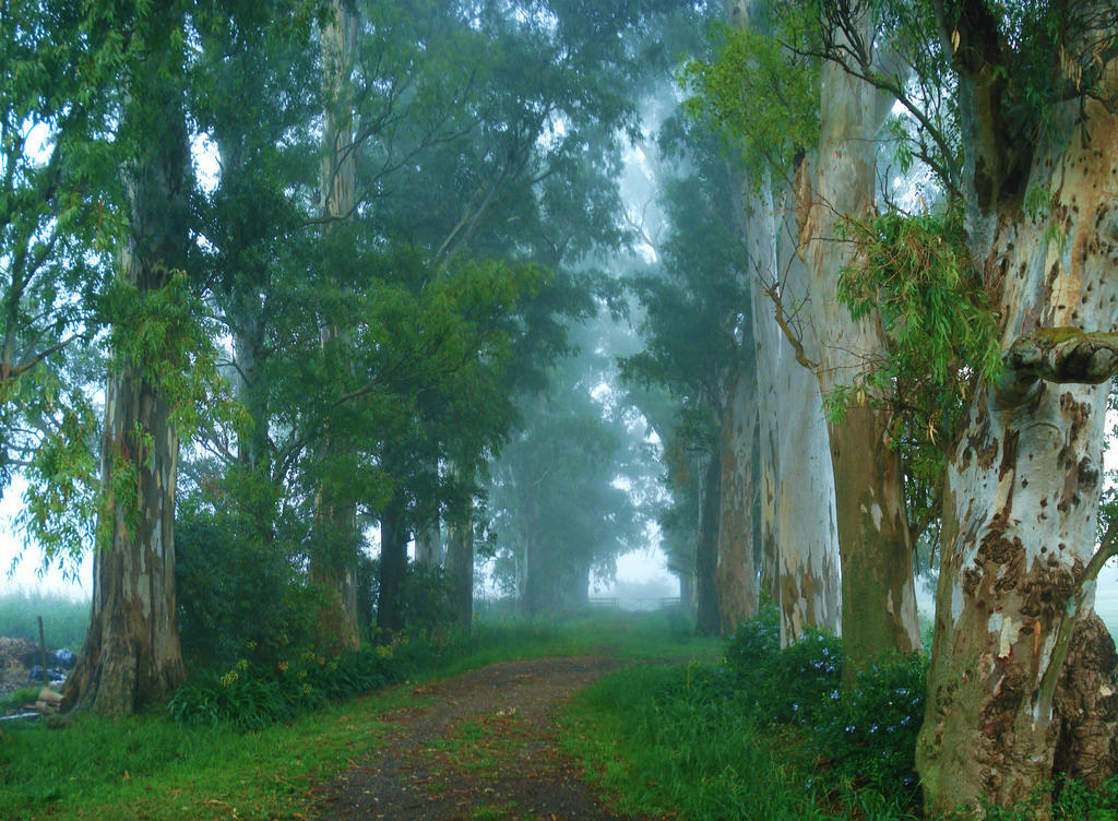 El Ranchito De Areco Villa San Antonio de Areco Ngoại thất bức ảnh